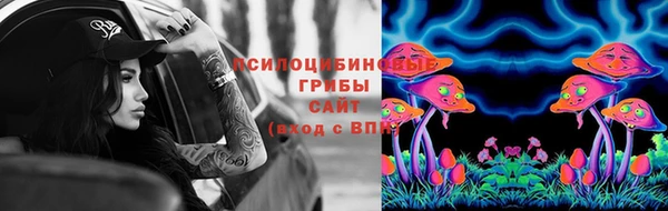 стаф Россошь