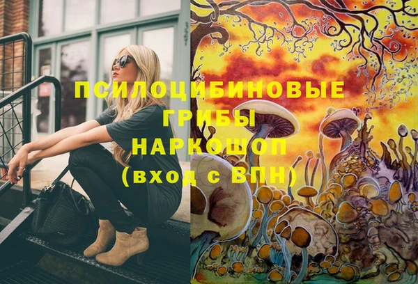 твердый Кизел