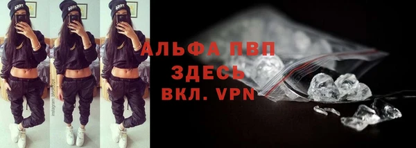 стаф Россошь