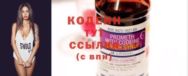 ПСИЛОЦИБИНОВЫЕ ГРИБЫ Рославль