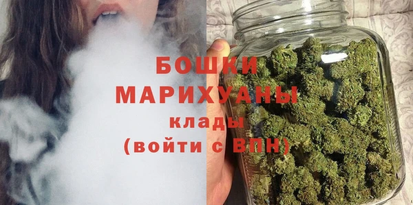 ПСИЛОЦИБИНОВЫЕ ГРИБЫ Рославль