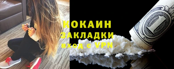 ПСИЛОЦИБИНОВЫЕ ГРИБЫ Рославль