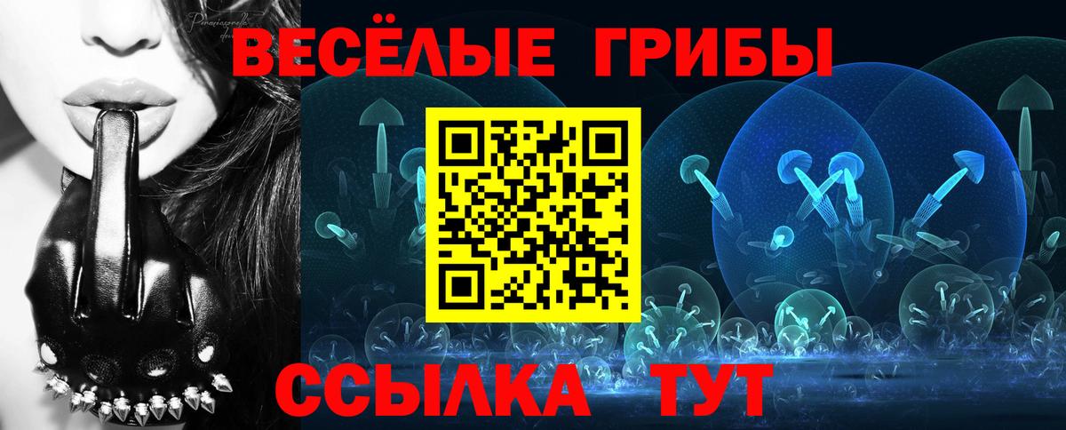 Псилоцибиновые грибы Psilocybe Сатка