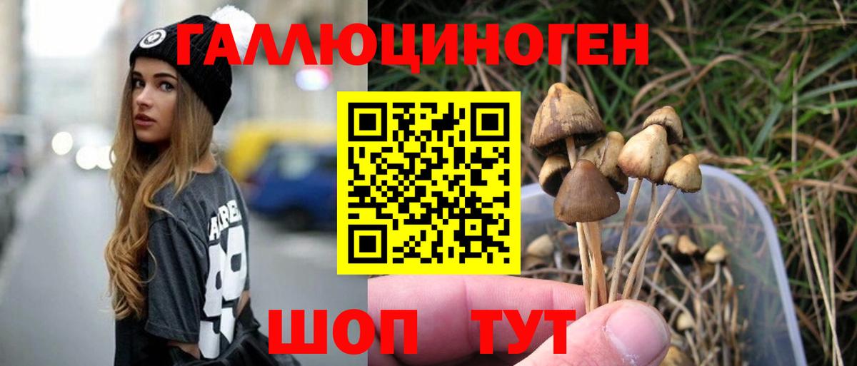 Галлюциногенные грибы Psilocybe  Сатка 